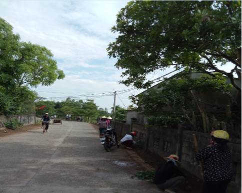 0905avung4.jpg