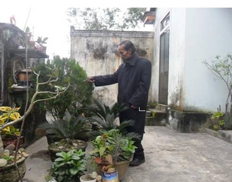 21_12_2013_NLCTG_2.jpg